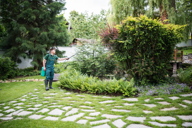 Reliable Issaquah, WA Pest Control Solutions